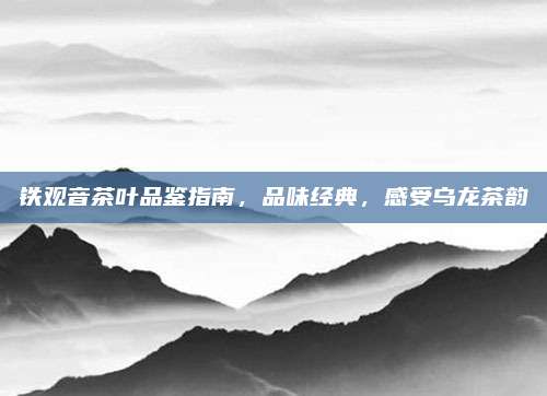 铁观音茶叶品鉴指南,品味经典,感受乌龙茶韵