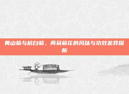 黄山菊与杭白菊，两朵菊花的风味与功效差异探析
