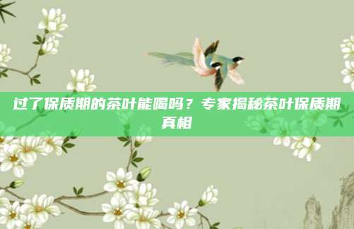 过了保质期的茶叶能喝吗？专家揭秘茶叶保质期真相