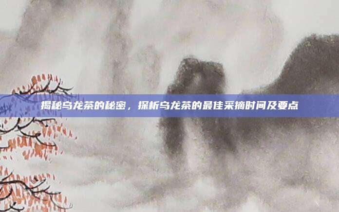 揭秘乌龙茶的秘密,探析乌龙茶的最佳采摘时间及要点