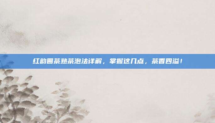 红韵圆茶熟茶泡法详解，掌握这几点，茶香四溢！
