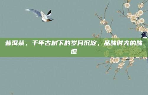 普洱茶，千年古树下的岁月沉淀，品味时光的味道