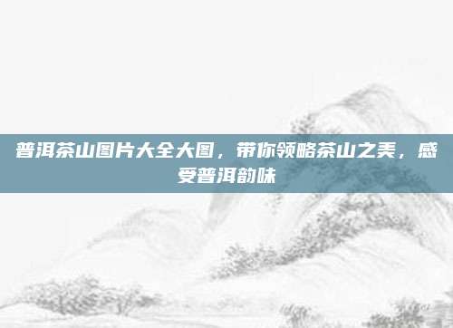 普洱茶山图片大全大图,带你领略茶山之美,感受普洱韵味