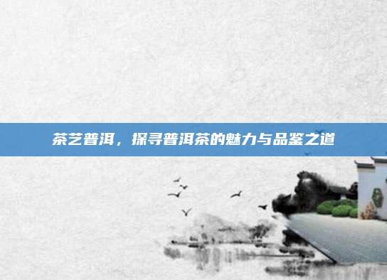 茶艺普洱,探寻普洱茶的魅力与品鉴之道