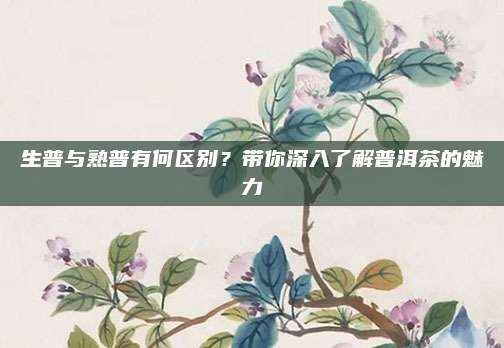 生普与熟普有何区别?带你深入了解普洱茶的魅力
