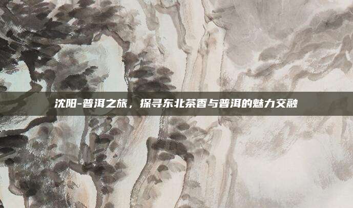 沈阳-普洱之旅,探寻东北茶香与普洱的魅力交融