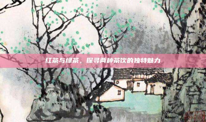 红茶与绿茶,探寻两种茶饮的独特魅力