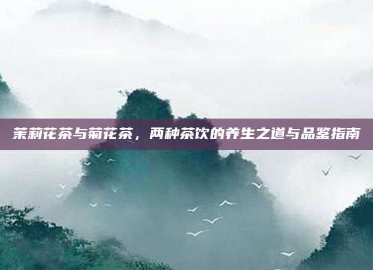 茉莉花茶与菊花茶,两种茶饮的养生之道与品鉴指南