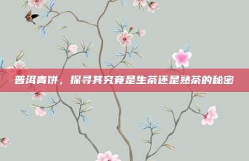 普洱青饼,探寻其究竟是生茶还是熟茶的秘密