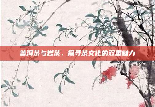 普洱茶与岩茶，探寻茶文化的双重魅力