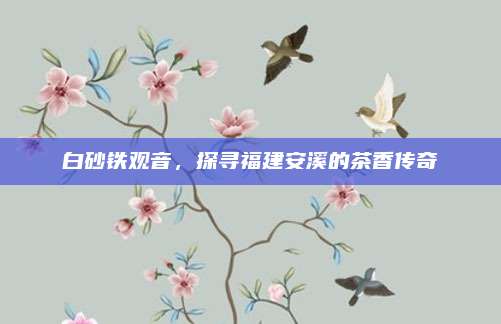 白砂铁观音，探寻福建安溪的茶香传奇