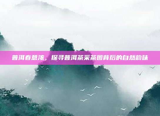 普洱春意浓，探寻普洱茶采茶图背后的自然韵味