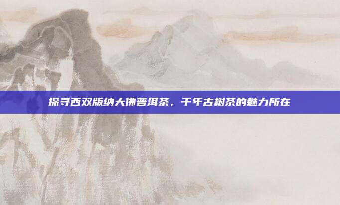 探寻西双版纳大佛普洱茶,千年古树茶的魅力所在