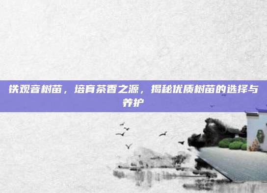 铁观音树苗，培育茶香之源，揭秘优质树苗的选择与养护
