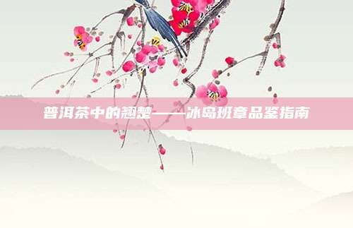 普洱茶中的翘楚——冰岛班章品鉴指南