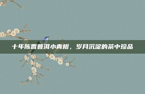 十年陈香普洱小青柑，岁月沉淀的茶中珍品