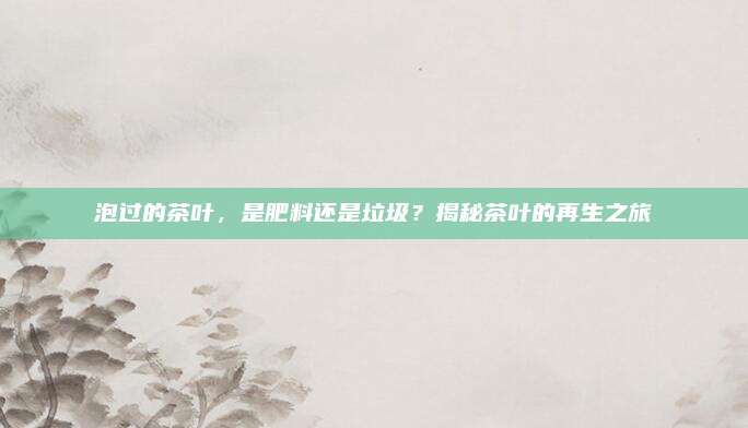 泡过的茶叶，是肥料还是垃圾？揭秘茶叶的再生之旅