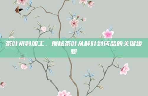 茶叶初制加工,揭秘茶叶从鲜叶到成品的关键步骤