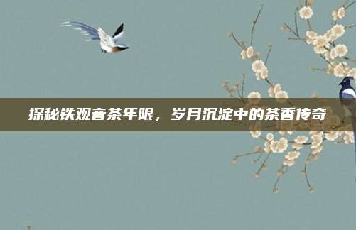 探秘铁观音茶年限,岁月沉淀中的茶香传奇