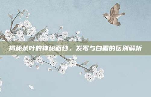 揭秘茶叶的神秘面纱,发霉与白霜的区别解析