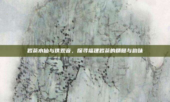 岩茶水仙与铁观音，探寻福建岩茶的精髓与韵味