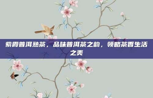 紫霞普洱熟茶，品味普洱茶之韵，领略茶香生活之美