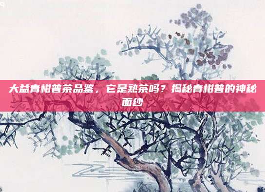 大益青柑普茶品鉴,它是熟茶吗?揭秘青柑普的神秘面纱