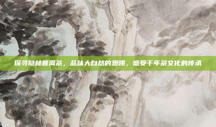探寻隐林普洱茶,品味大自然的恩赐,感受千年茶文化的传承