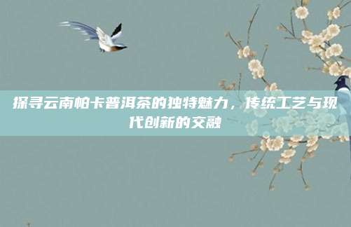 探寻云南帕卡普洱茶的独特魅力,传统工艺与现代创新的交融
