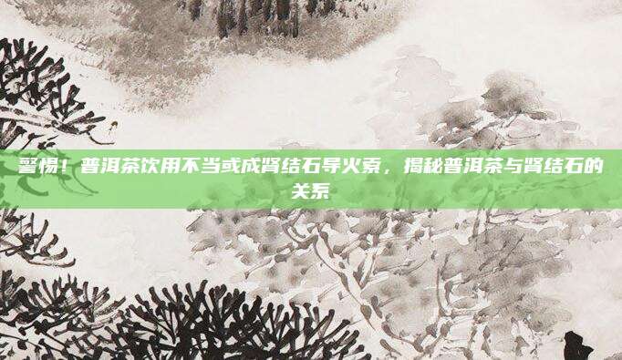 警惕！普洱茶饮用不当或成肾结石导火索，揭秘普洱茶与肾结石的关系