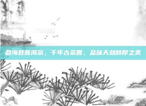 勐海县普洱茶，千年古茶香，品味天然醇厚之美