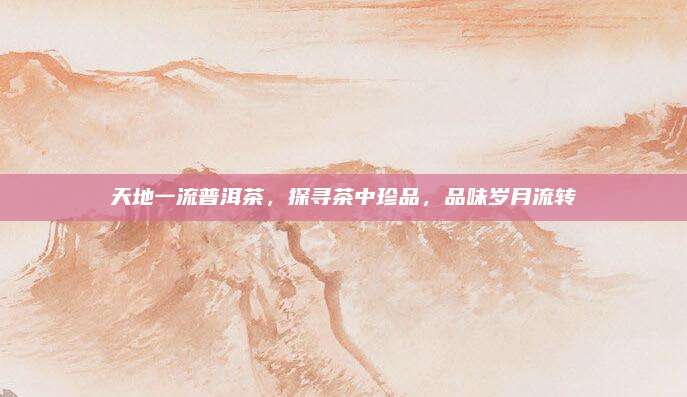 天地一流普洱茶,探寻茶中珍品,品味岁月流转