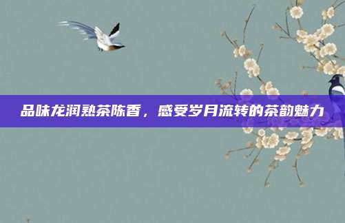 品味龙润熟茶陈香，感受岁月流转的茶韵魅力