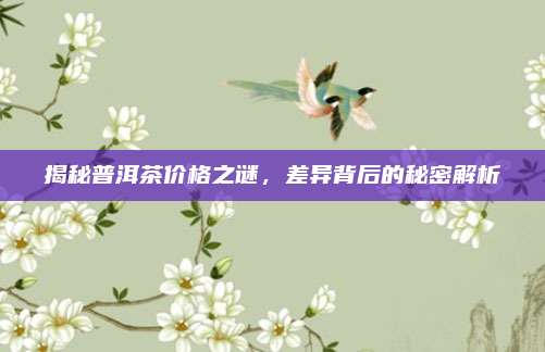 揭秘普洱茶价格之谜，差异背后的秘密解析