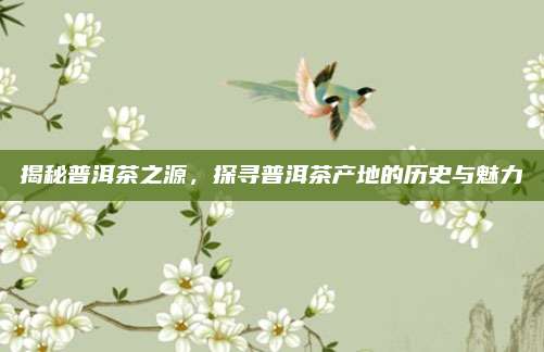 揭秘普洱茶之源,探寻普洱茶产地的历史与魅力