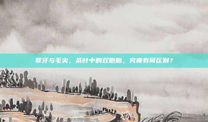 翠牙与毛尖,茶叶中的双胞胎,究竟有何区别?