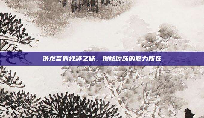 铁观音的纯粹之味,揭秘原味的魅力所在