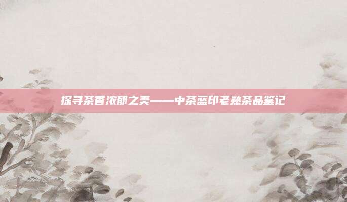 探寻茶香浓郁之美——中茶蓝印老熟茶品鉴记