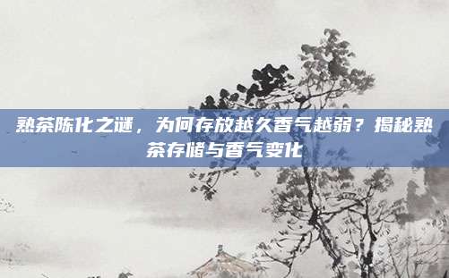 熟茶陈化之谜,为何存放越久香气越弱?揭秘熟茶存储与香气变化