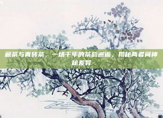 藏茶与青砖茶，一场千年的茶韵邂逅，揭秘两者间神秘差异