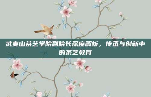 武夷山茶艺学院副院长深度解析,传承与创新中的茶艺教育