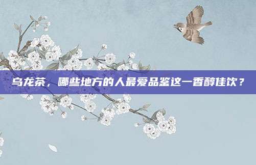 乌龙茶，哪些地方的人最爱品鉴这一香醇佳饮？