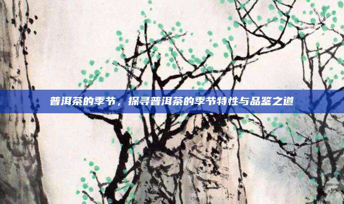 普洱茶的季节，探寻普洱茶的季节特性与品鉴之道