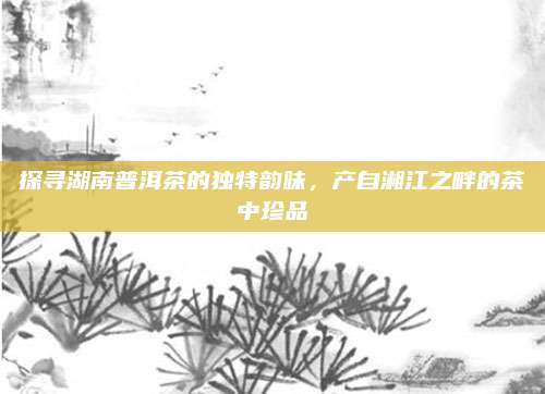 探寻湖南普洱茶的独特韵味，产自湘江之畔的茶中珍品