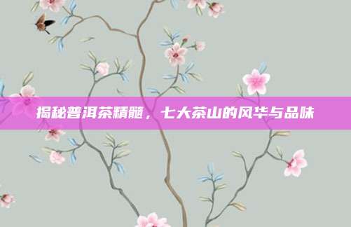 揭秘普洱茶精髓,七大茶山的风华与品味