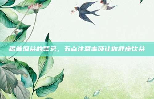 喝普洱茶的禁忌，五点注意事项让你健康饮茶