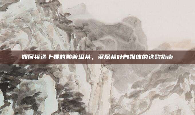 如何挑选上乘的熟普洱茶，资深茶叶自媒体的选购指南