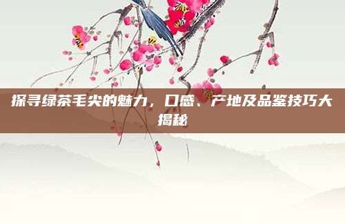 探寻绿茶毛尖的魅力，口感、产地及品鉴技巧大揭秘