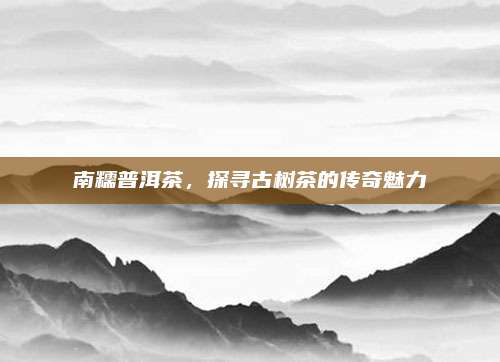 南糯普洱茶，探寻古树茶的传奇魅力