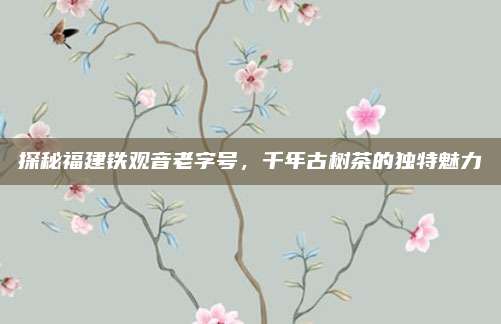 探秘福建铁观音老字号，千年古树茶的独特魅力